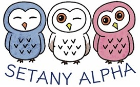 セタニーアルファ公式キャラクター フクロウトリオ